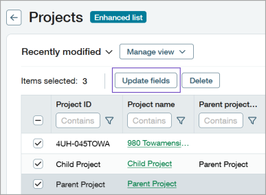 The Update fields button appears above the Projects list when projects are selected for modification.