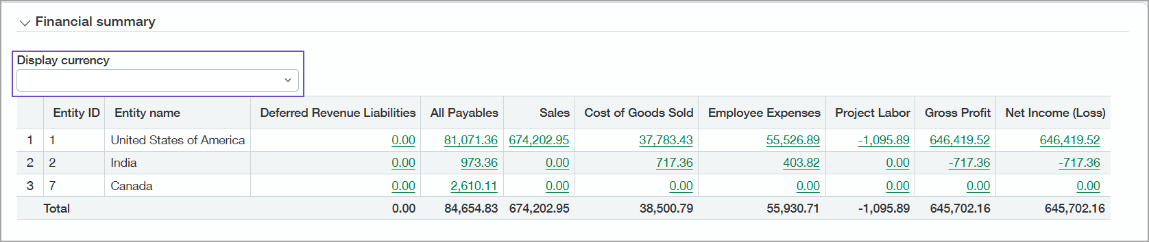 Financial summary section of the Project summary tab of the Project information page. The Display currency menu is highlighted.