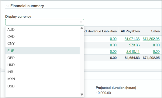 The Display currency menu in the Financial summary section on the Project summary tab is expanded with Euro (EUR) selected.