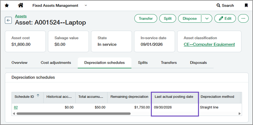 Depreciation schedules tab showing the last actual posting date column.